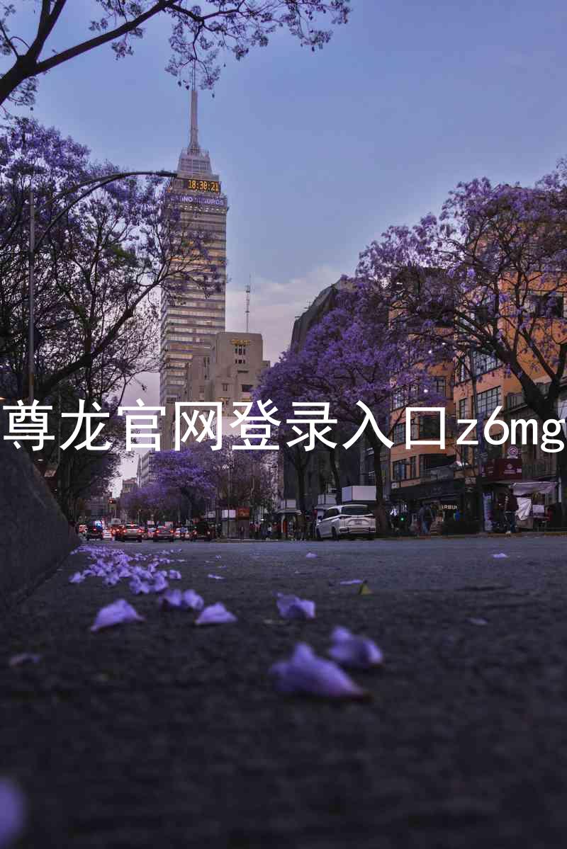 尊龙官网登录入口z6mg